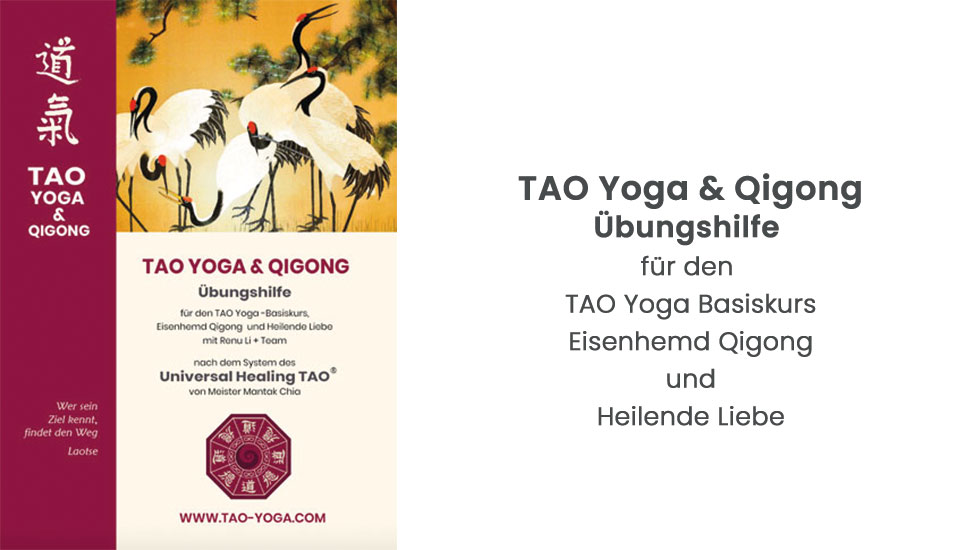 Kursmanual Basis & Eisenhemd QiGong