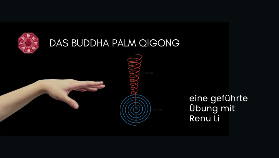 Videostream- Heilende Hände - Die Buddha Palm