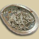 White Sage