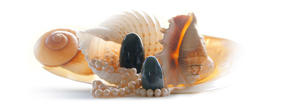 eier muschel weiss 2